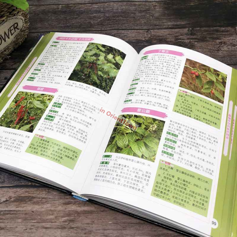 400 Common Herbal Plants Flavo - Herbal Wellness Book recensie en prijs
