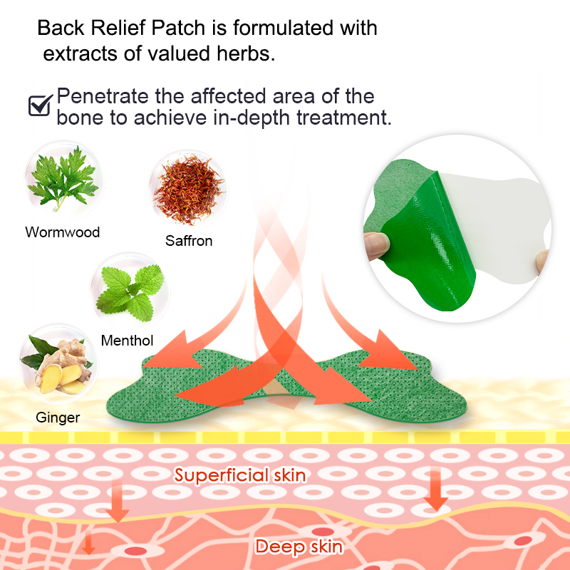 60/6 PCS Lumbar Pain Patch Wor - Herbal Zone recensie en prijs