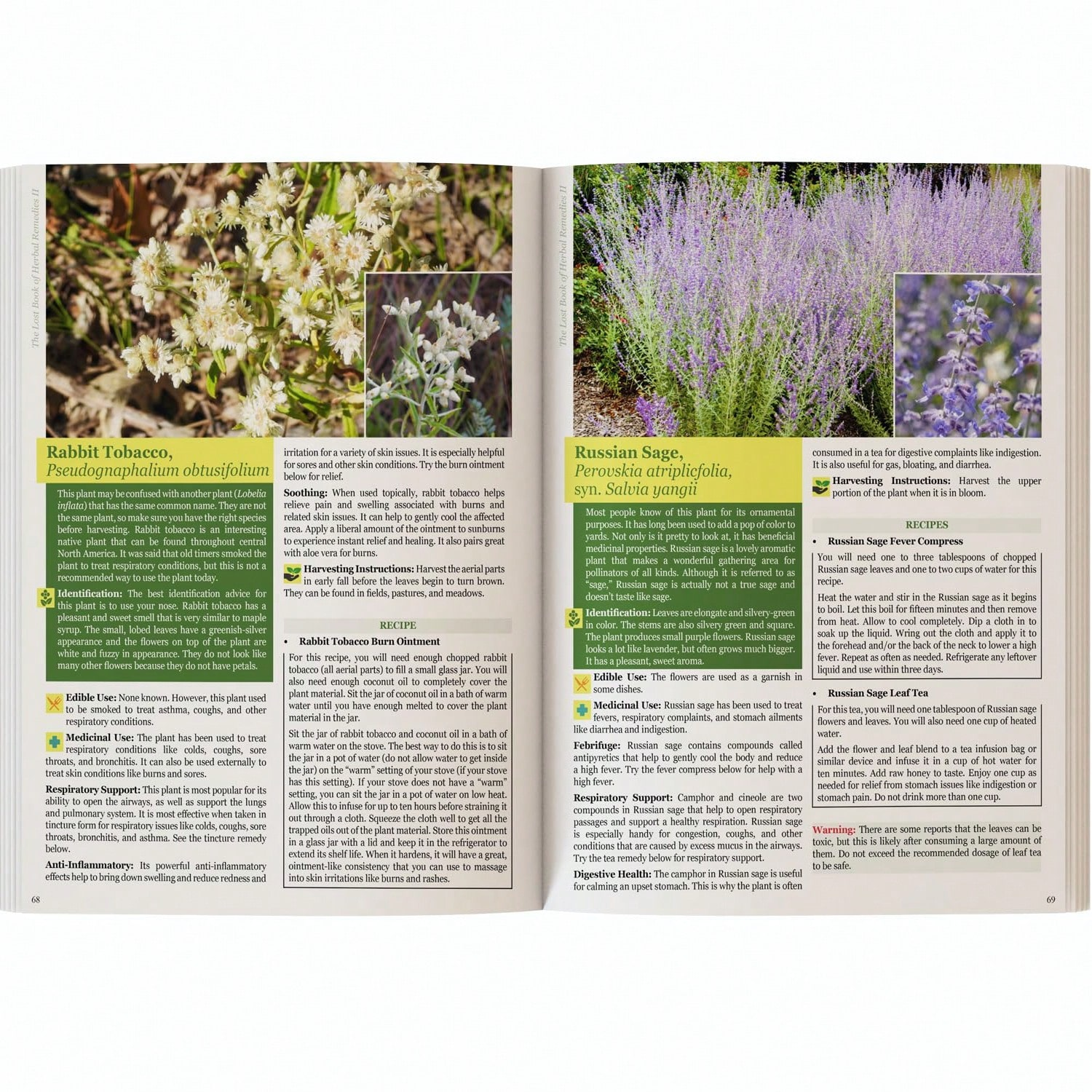 The Holistic Guide To Wellness - Herbal Wellness recensie en prijs
