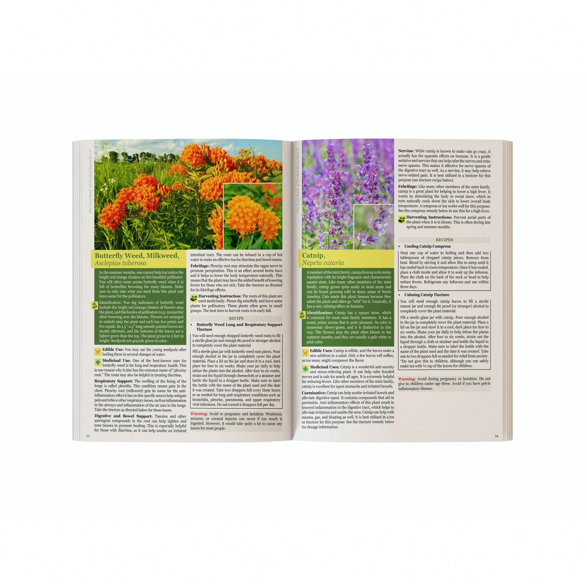The Holistic Guide To Wellness - Herbal Wellness recensie en prijs