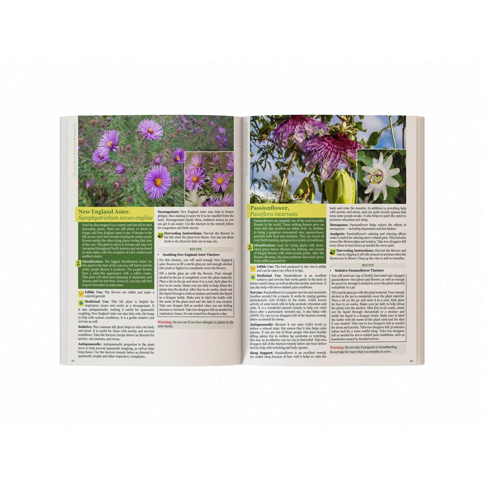 The Holistic Guide To Wellness - Herbal Wellness recensie en prijs