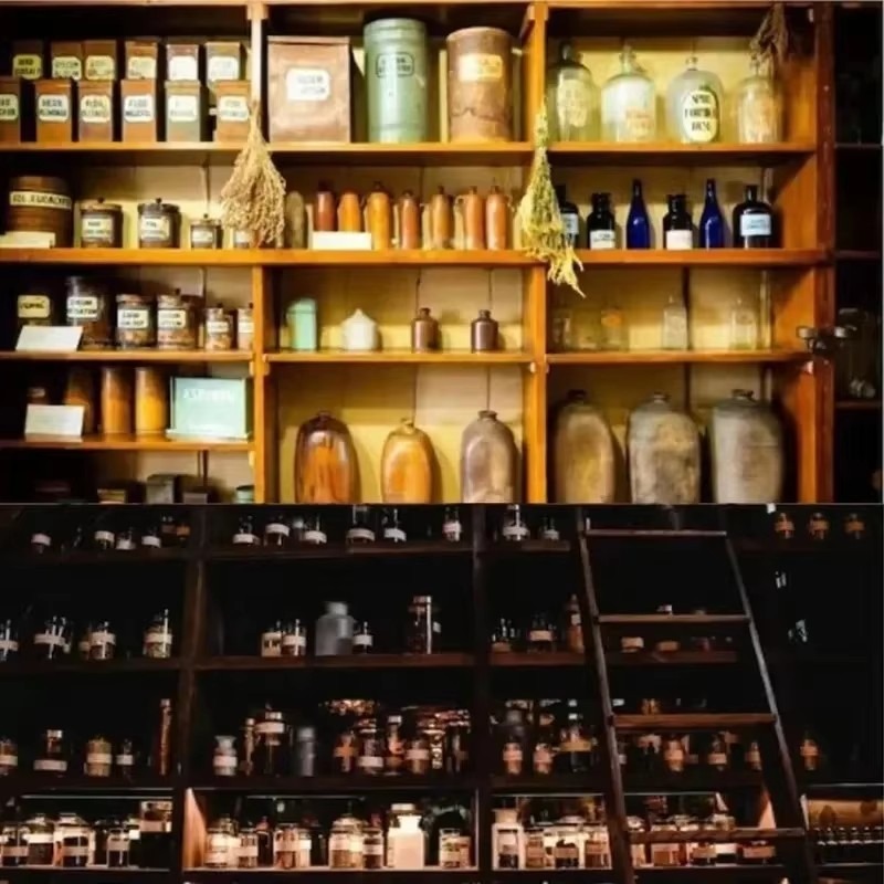 The Holistic Home Apothecary 1 - Herbal Wellness Book recensie en prijs