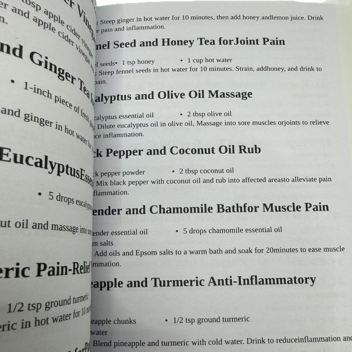 1000 FORGOTTEN REMEDIES The Ho - Herbal Wellness Solutions recensie en prijs