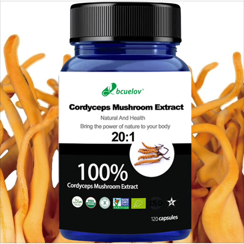 Cordyceps Mushroom Extract Cap - Herbal Wellness Water recensie en prijs
