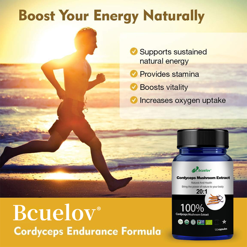 Cordyceps Mushroom Extract Cap - Herbal Wellness Water recensie en prijs